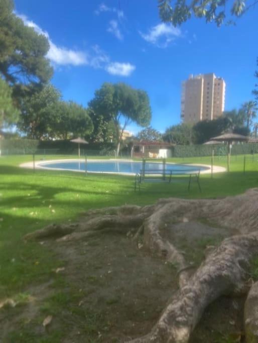 Playamar Feliz Apartment Torremolinos