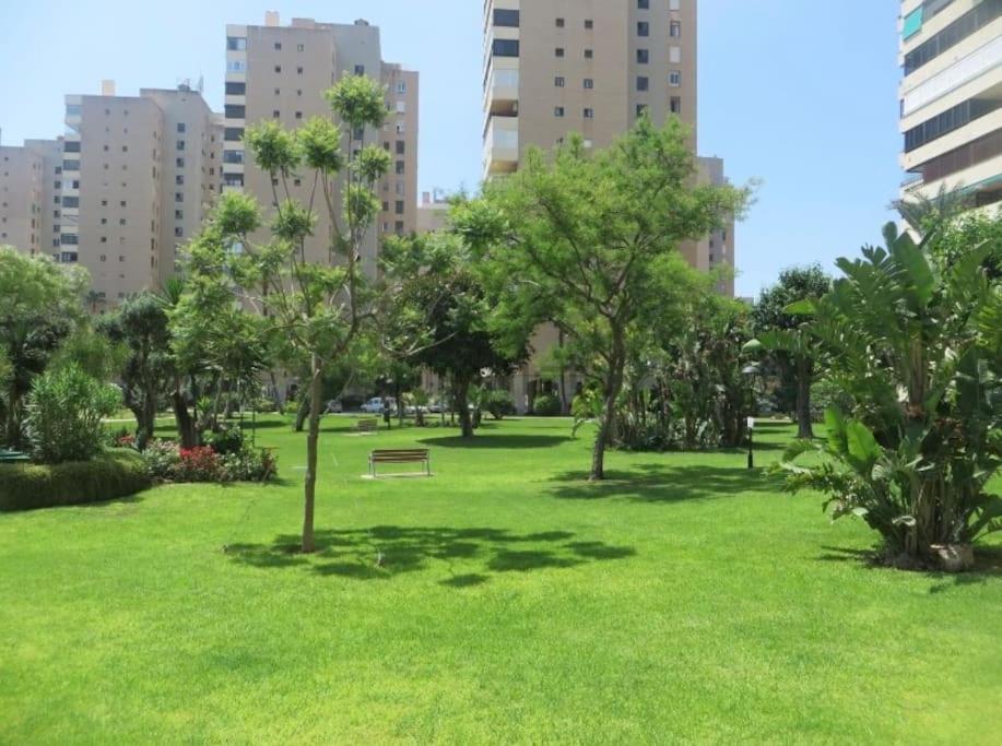 Apartment Playamar Feliz